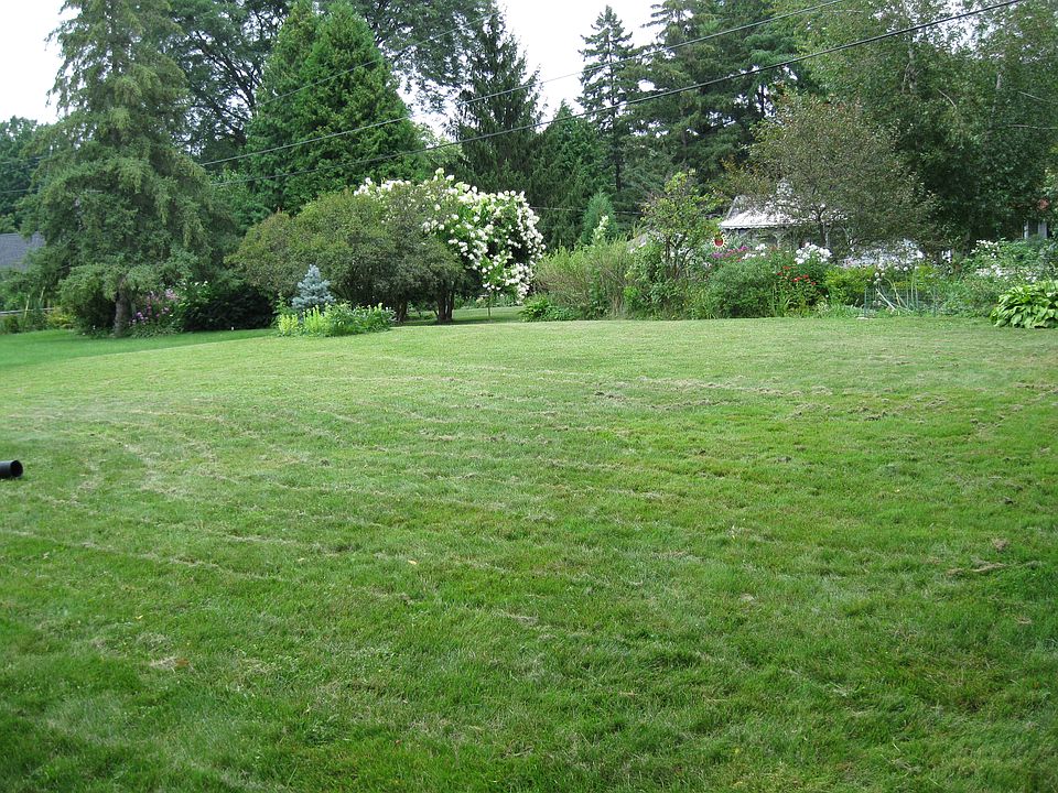 looking from the back corner
