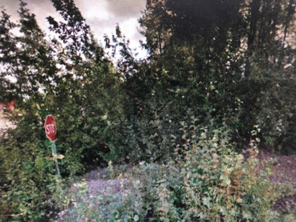 1st image of 501 S Willow Ln