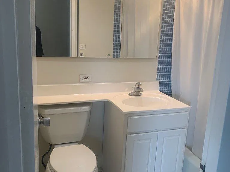 2626 N Lakeview Ave #3106 — Photo 7