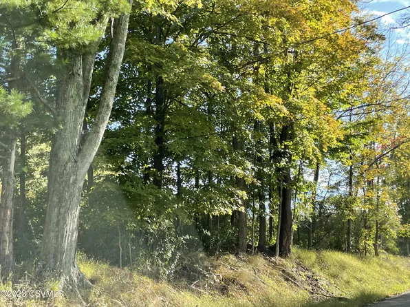 Route #93, Orangeville, PA 17859