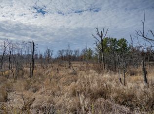 33.19 Acres Hwy #80, Necedah, WI 54646
