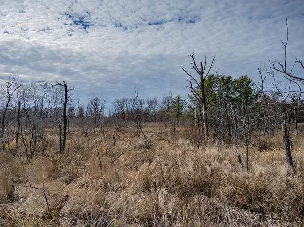 33.19 Acres Hwy #80, Necedah, WI 54646