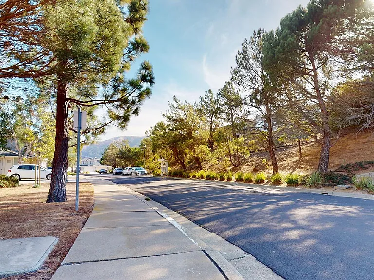123 Warbler Ln — Photo 31