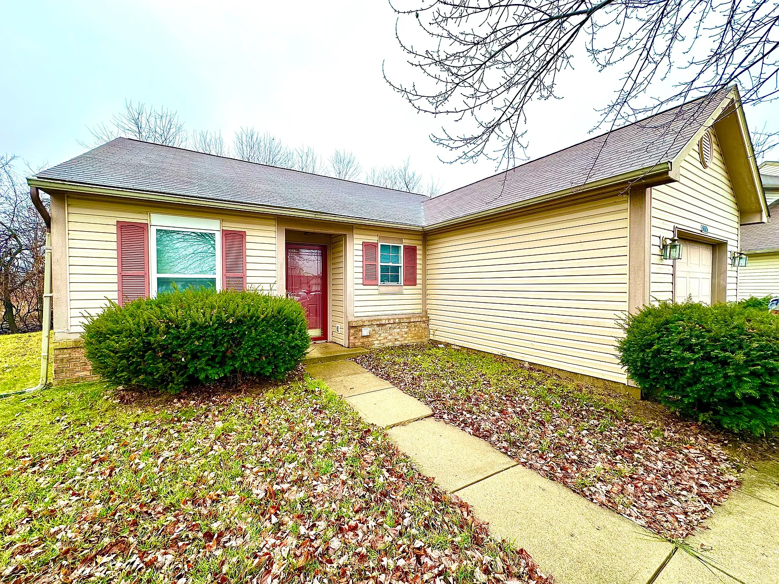 3531 Lace Bark Dr photo 1