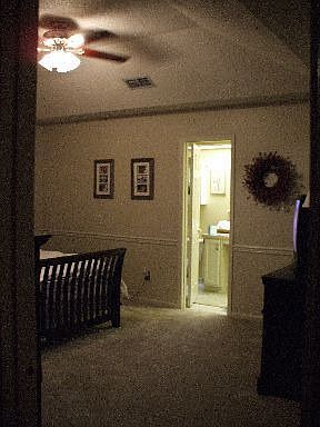 5th image of 3879 Bald Eagle Ln