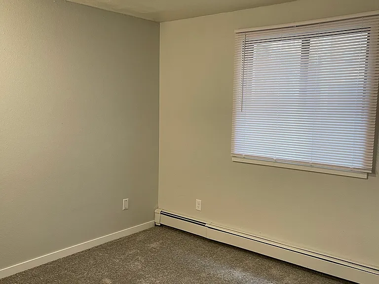 436 S Van Buren St #5S — Photo 12