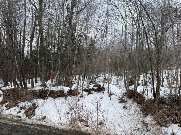 TBD Bigelow Road, Saint Albans, ME 04971