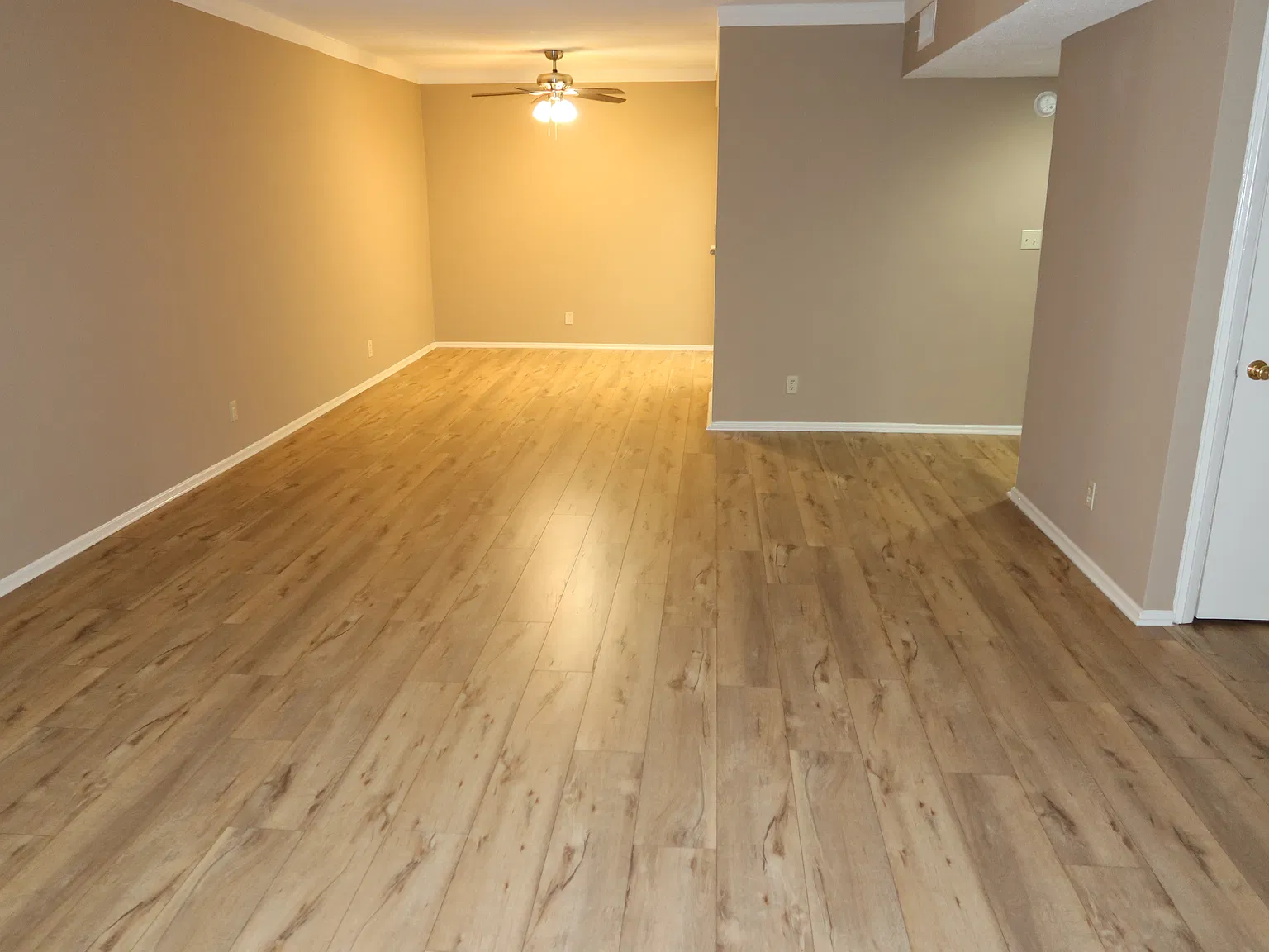 1 bed, 800 sqft, $2,495 — Photo 3