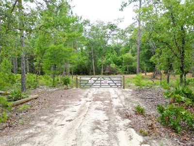 NE Lowery Acres Rd, Hosford, FL, 32334