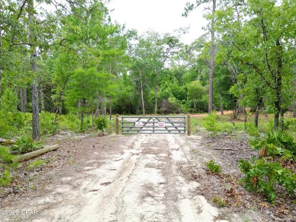 NE Lowery Acres Rd, Hosford, FL 32334