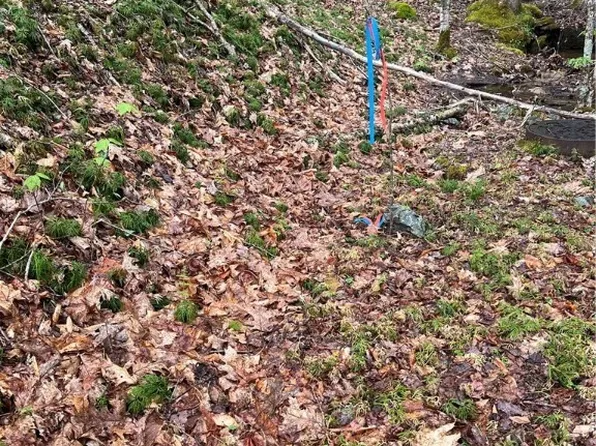 134 Arrowhead Road, Beech Mountain, NC 28604