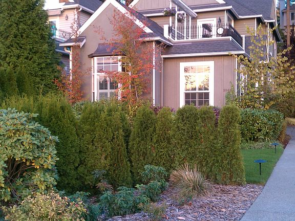 4th image of 1548 E Lake Sammamish Pkwy NE