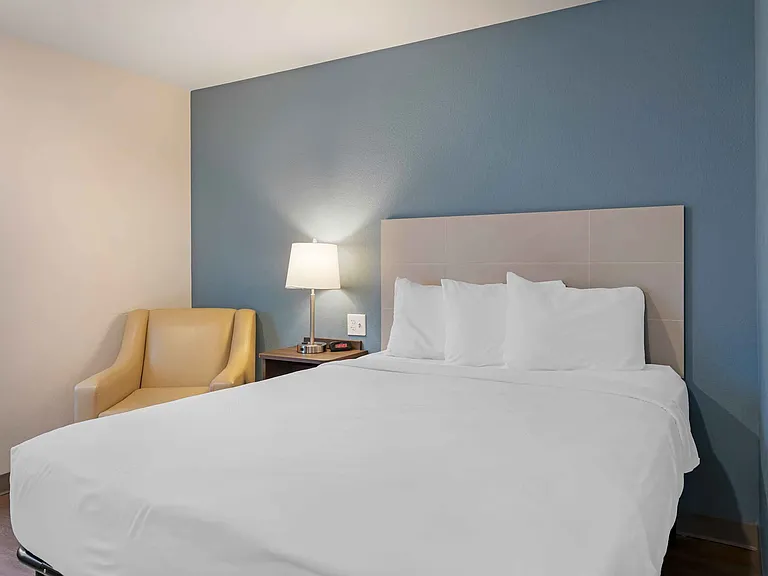 Studio Suite - 1 Queen Bed