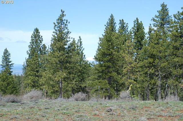 2nd image of 8 Pine Creek Rd