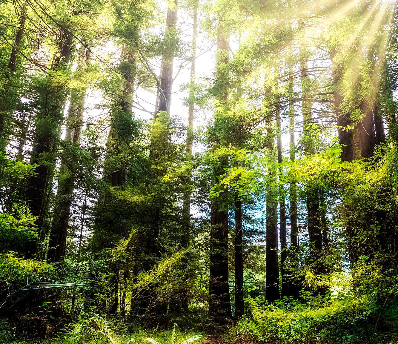 692 Patricks Point Dr, Trinidad, CA 95570 Zillow