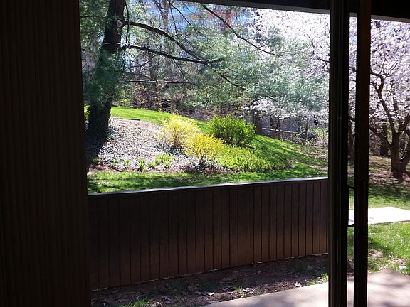 3rd image of 7839 Enola St APT 101