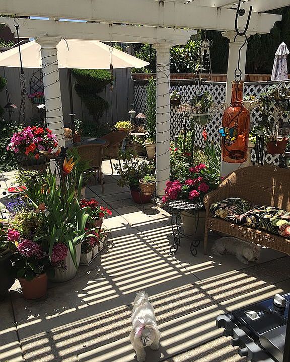 2nd image of 1996 Tahoe Cir
