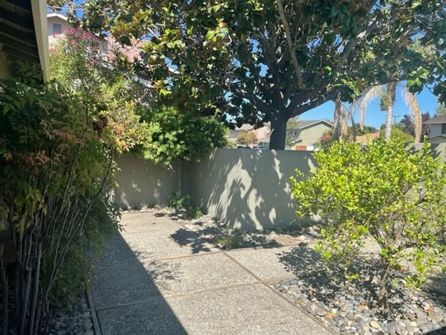 West San Jose - Lovely Home In Desirable Rogers Neighborhood — Photo 3