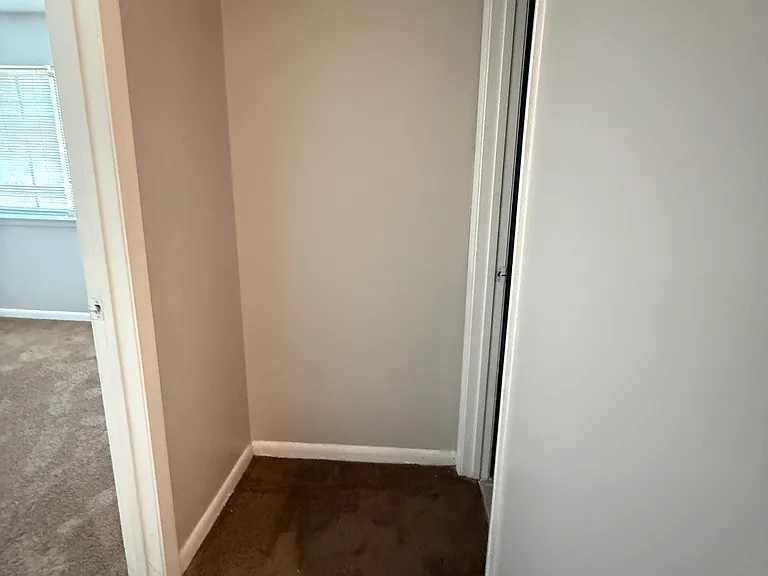 904 Pine Oak Trl — Photo 3