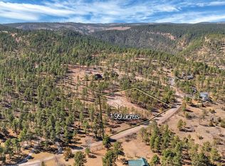 12767 Mohawk Dr, Piedmont, SD 57769