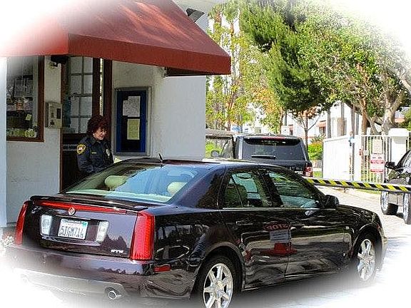 Guarded security gate