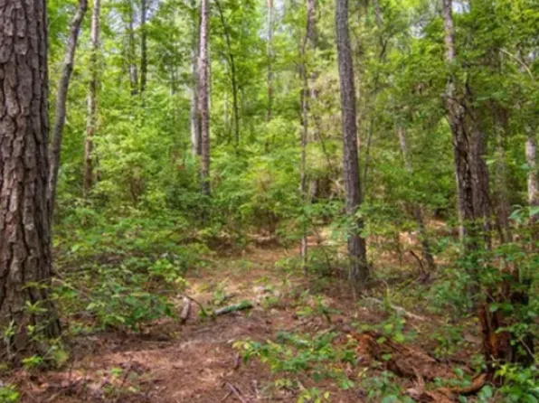 0 Valley Rescue Mission Rd, Hamilton, GA 31811