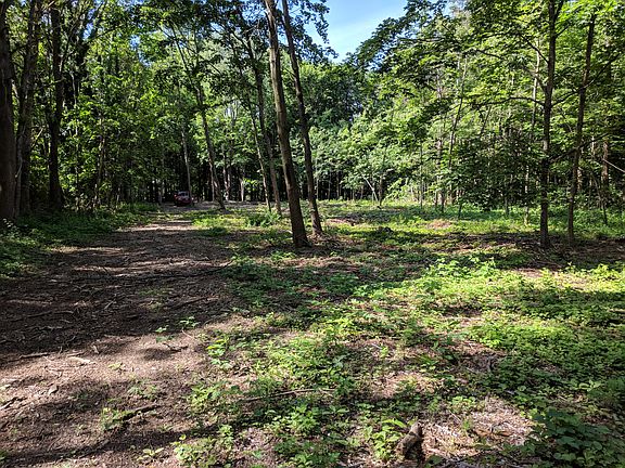 Early June looking North