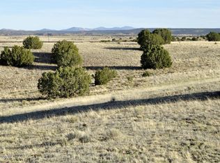 LOT 142 County Road 5500, Concho, AZ 85924