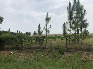 Sadler Rd, Mount dora, FL 32757