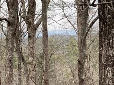 218 Lemmon Ln N, Ellijay, GA, 30540