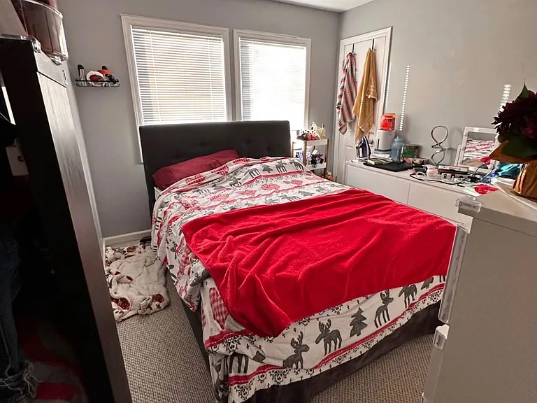 55 Cornflower Rd — Photo 1