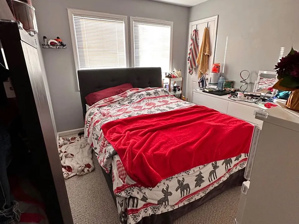 55 Cornflower Rd