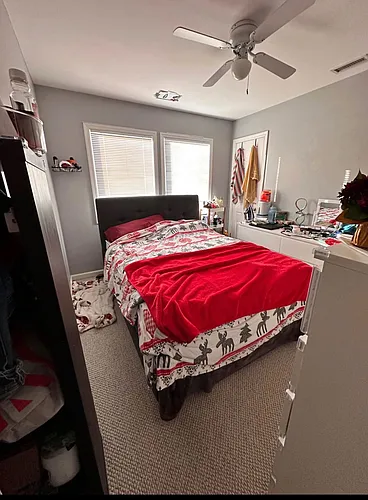 55 Cornflower Rd Photo 1