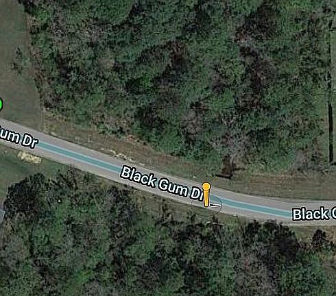 2nd image of 10000 Black Gum Ln