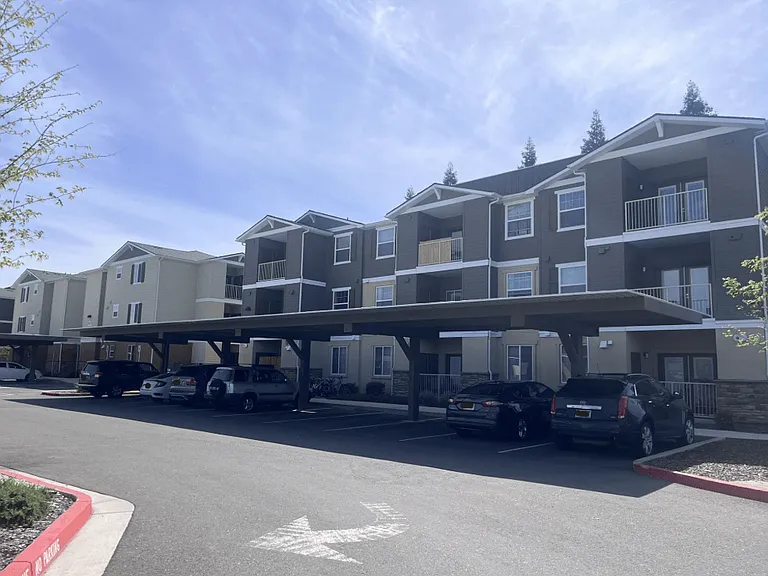 Peterson Place — Photo 7