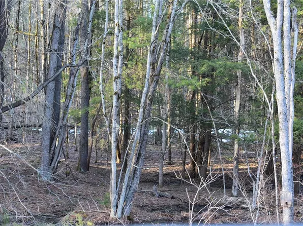 Holly Hole Rd #12, Constantia, NY 13044