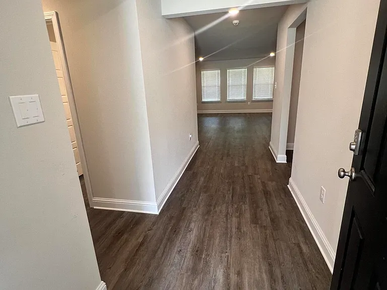 18186 Southern Magnolia Cv — Photo 3