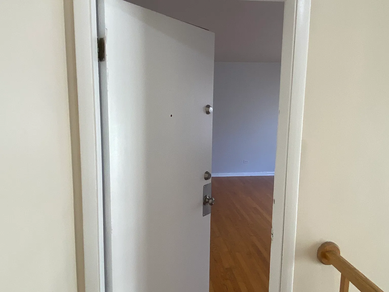 1 bed, 800 sqft, $1,500 — Photo 3