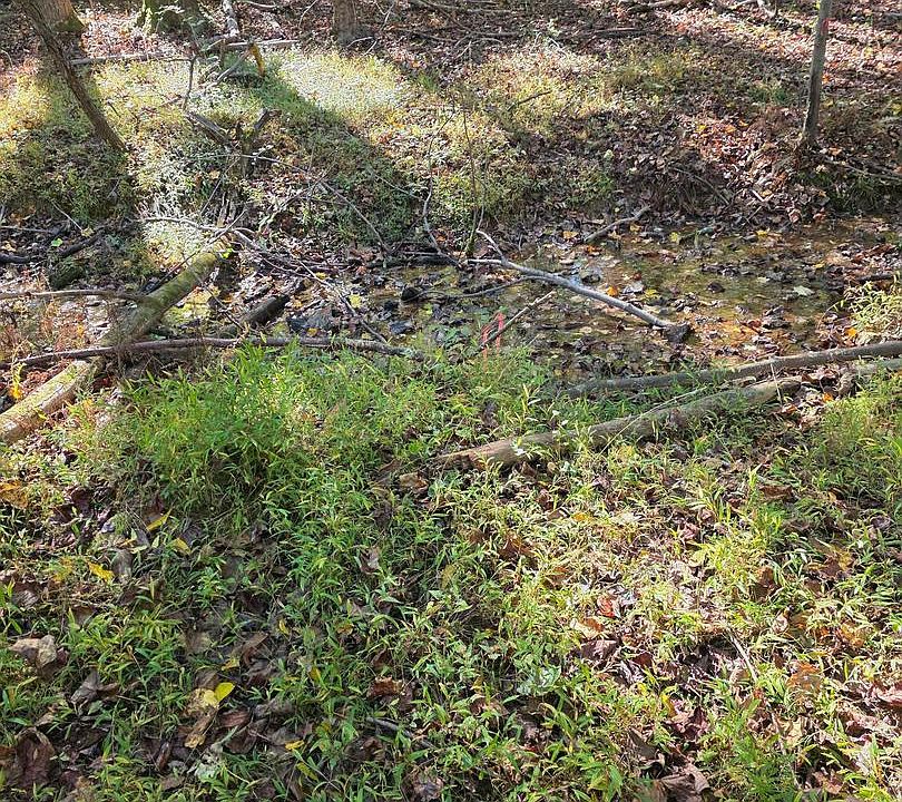 1st image of 3816 Jim Smith Ln