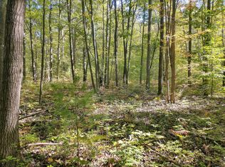 1155 S Extension Rd, Indian River, MI 49749