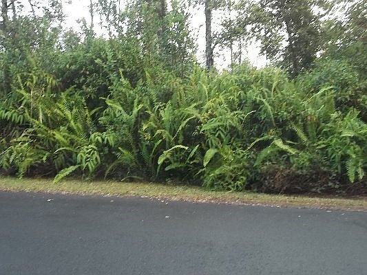 2nd image of Tiki Ln Lot 43
