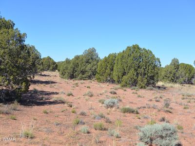 4278 Indian Bend Rd, Snowflake, AZ, 85937