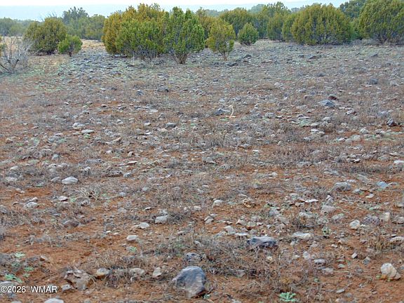 4th image of 196 County Road 8206
