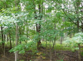 11201 Marilla Rd #6, Copemish, MI 49625