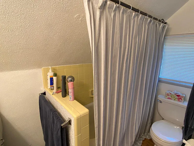 Bathroom with bathtub and seating shower