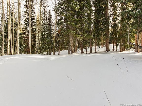 4th image of 201 White Pine Canyon Rd #201
