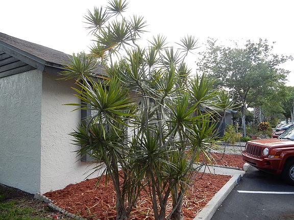 2nd image of 3982 El Camino Ct