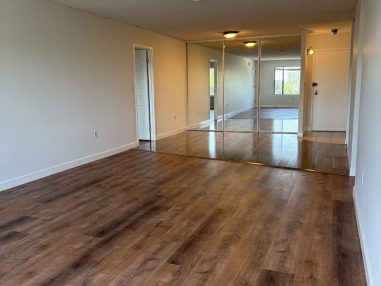 Open plan - living room/dining room combo