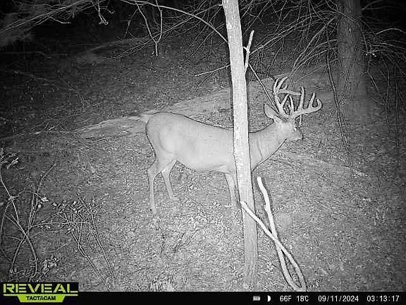 3rd image of W8698 Lupine Ln