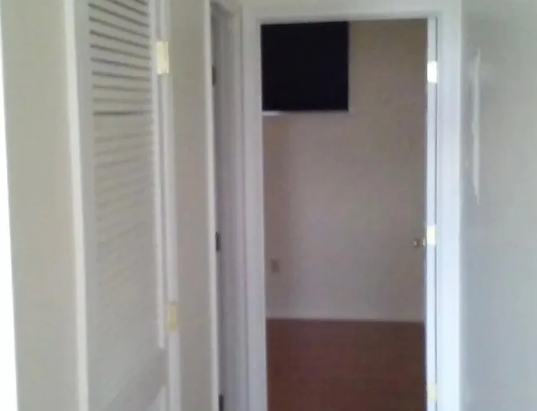 1 bed, 999 sqft, $1,250 — Photo 2